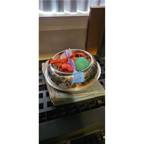 Silver dog bowl and harness