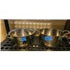 Image 1 : Large Cooking Pots - No lids x 2