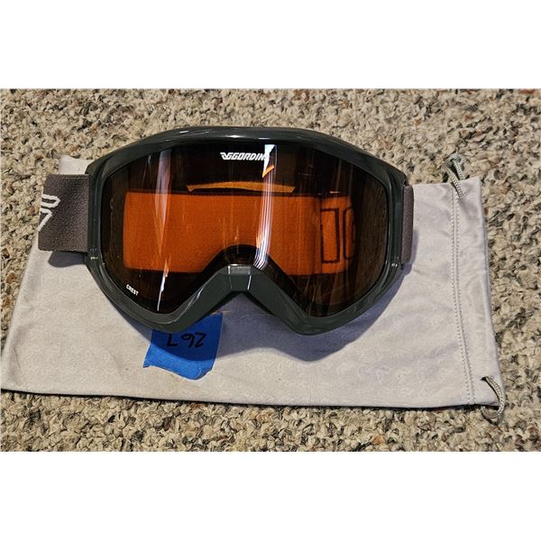 Adult Ski Goggles