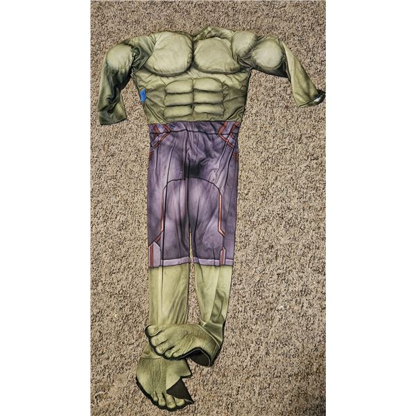 Halloween Costume Youth: The Hulk