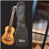 Image 2 : Luna Mahogany Bass Ukulele Pack