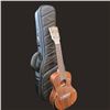 Image 1 : Kala Premier Exotic Macawood Concert Ukulele