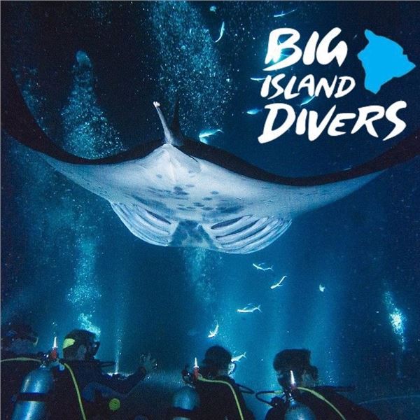 Manta Ray Night Snorkel for Two – Big Island Divers