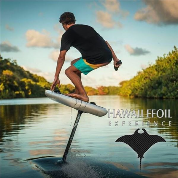 Two Certificates for a 90-Minute Single Efoil Lesson at Hawaii Efoil Experience, Oahu