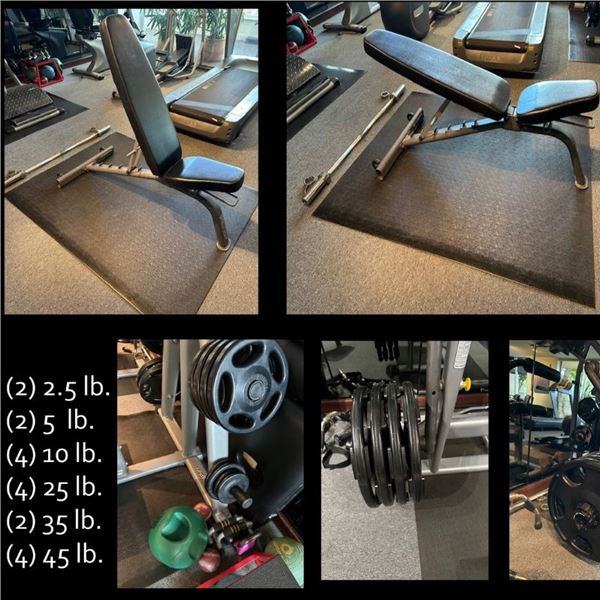 PRECOR Bench & HAMPTON Weight Set