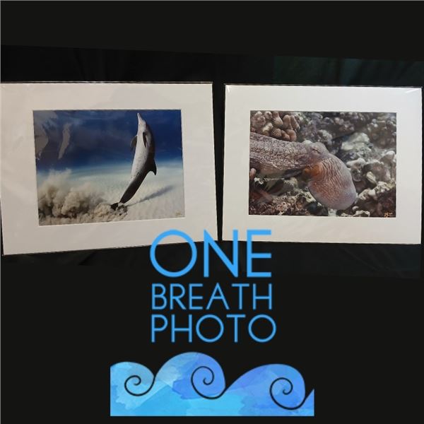 Autographed 11" x 14" Prints: "Showing Off" & “Tako Flight”