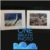 Image 1 : Autographed 11" x 14" Prints: "Showing Off" & “Tako Flight”