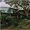 Image 2 : 1 to 3-Night Stay at The Dragonfly Ranch, Big Island