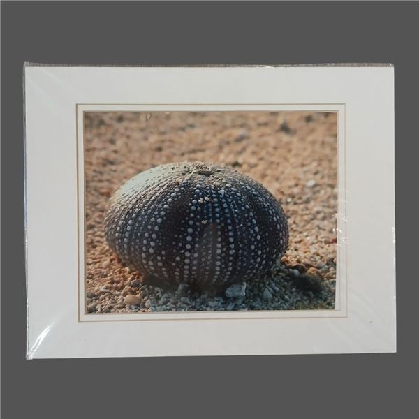 Two 11" x 14" Ocean Photography Prints