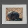 Image 1 : Two 11" x 14" Ocean Photography Prints