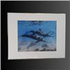 Image 2 : Two 11" x 14" Ocean Photography Prints