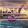 Image 1 : Half-Day Private Tour with Halia Tours and Transportation