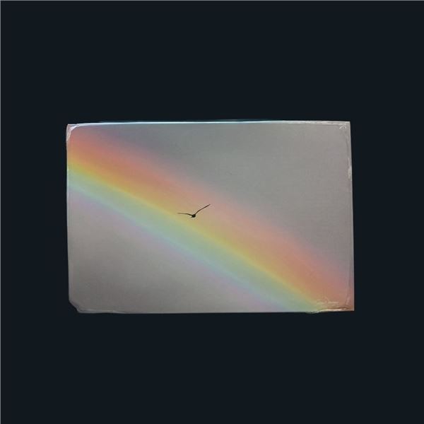 Autographed Epson Exhibition Canvas Painting "Bird Bow"