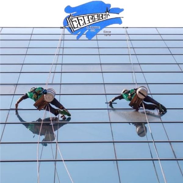 $100 Gift Certificate for Professional Cleaning Services