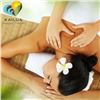Image 1 : 60-Minute Therapeutic Massage with Licensed Therapist Mary McHugh