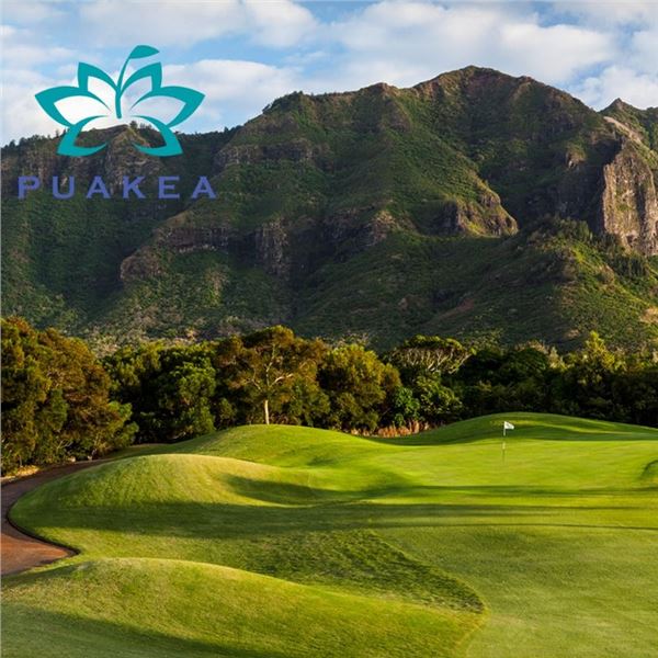 Two Gift Certificates for 18-Hole Rounds at Puakea Golf Course, Kaua'i