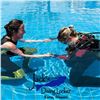 Image 1 : Discover Scuba Diving Spots in the Pool Course at Jack's Diving Locker for Two, Big Island