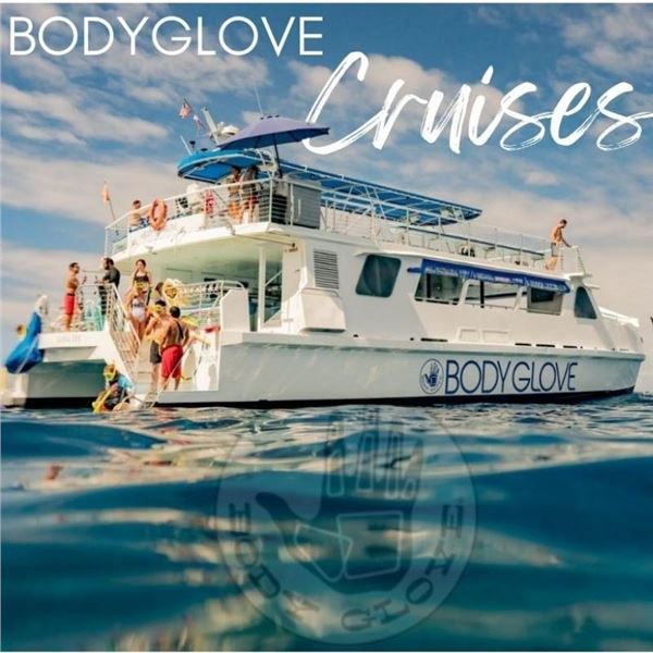 Big Island Deluxe Snorkel and Dolphin Watch Cruise for Two