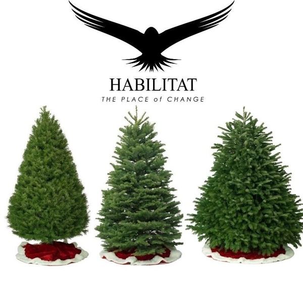 Habilitat Christmas Tree up to 7'