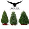Image 1 : Habilitat Christmas Tree up to 7'