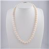 Image 1 : 8.0-8.5mm AAA Freshwater White Pearl 18” Necklace with 14k Yellow Gold Clasp