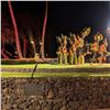 Image 3 : Old Lahaina Luau for Two Adults, Maui