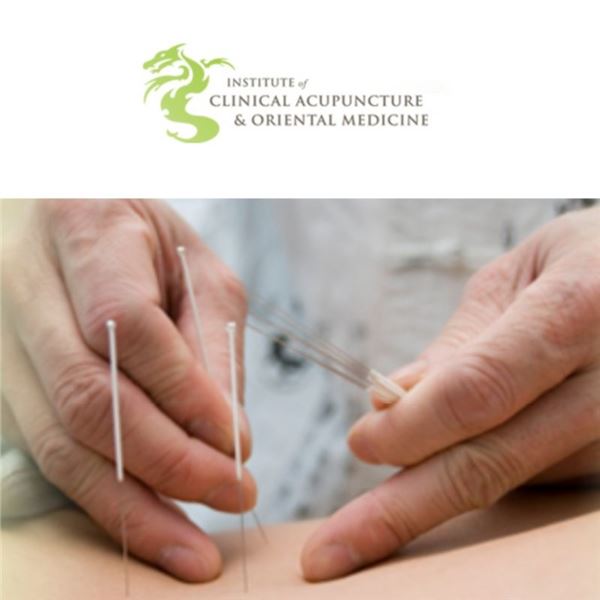 $50 Gift Certificate for Professional Acupuncture