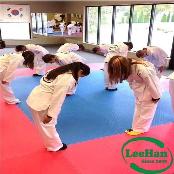 Duel Online Taekwondo Training – 1 Year Unlimited Access
