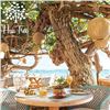 Image 2 : Five $50 Gift Cards for Hau Tree Lanai
