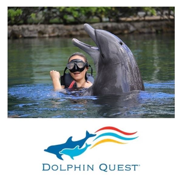 Two Deluxe Dolphin Encounter at Dolphin Quest Oahu
