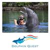 Image 1 : Two Deluxe Dolphin Encounter at Dolphin Quest Oahu