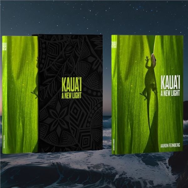 Kaua'i: A New Light Regular Edition