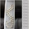 Image 1 : 16" Fresh Water Pearl Necklace