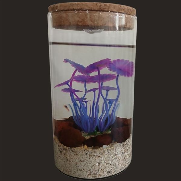 Ecosphere