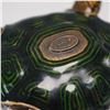 Image 8 : Jay Strongwater, Tortoise Treasure Box