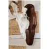 Image 6 : 11-Point WHITETAIL DEER Skull on a Wood Plaque