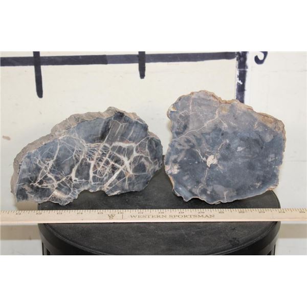 (2) Petrified Wood Slab Slices (ONE$)