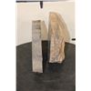 Image 4 : (2) Petrified Wood Slab Slices (ONE$)