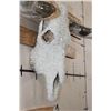 Image 4 : Big Polished LONGHORN Skull embellished with Glass