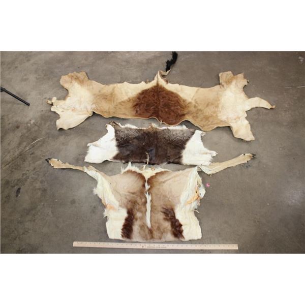 (3) Back Hides (ONE$)