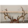 Image 3 : (3) WHITETAIL DEER Antler Racks on Wood Plaques with Hide (ONE$)