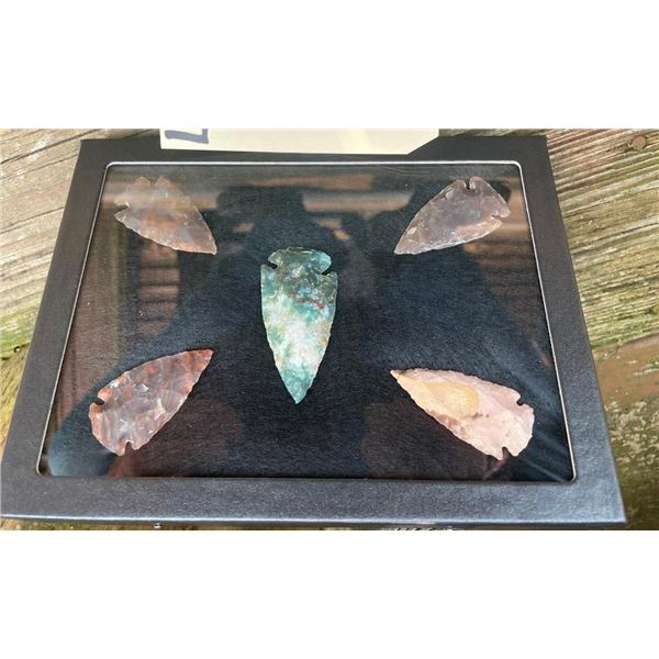 (5) ARROWHEAD Points in a Glass Display Case (ONE$)