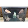 Image 2 : (5) ARROWHEAD Points in a Glass Display Case (ONE$)