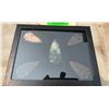 Image 4 : (5) ARROWHEAD Points in a Glass Display Case (ONE$)