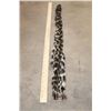 Image 2 : *TEXAS RESIDENTS ONLY* LEOPARD Tail
