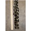 Image 3 : *TEXAS RESIDENTS ONLY* LEOPARD Tail