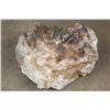 Image 6 : 39 lb Smokey and Honey DOGTOOTH CALCITE Crystal Formation