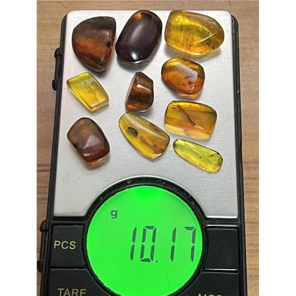 (10) Pieces of Authentic Myanmar AMBER Fossil Insect Specimens, Weight: 10.17 grams (ONE$)