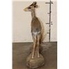 Image 10 : Life-sized GUNTHER'S DIK DIK on a Simulated Rock Base