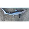 Image 1 : *New* Reproduction SAND SHARK Fish Mount